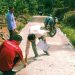 Desa Sumber Tani Dan Way Melan Diperiksa Inspektorat, Berikut Keterangan Kadesnya