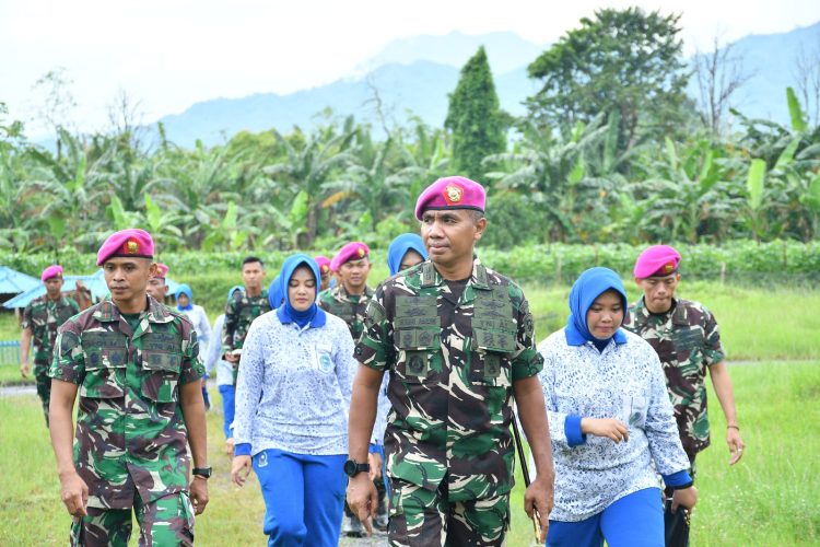 PANEN DI “MARINES 7 RANCH” KETAHANAN PANGAN YONIF 7 MARINIR
