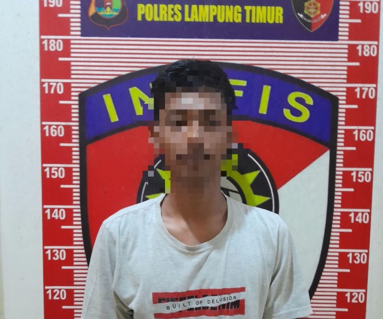 Pengakuan Pelaku Penyebar Video Pelajar Berhubungan Badan di Lampung
