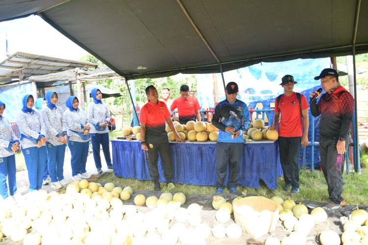YONIF 7 MARINIR PANEN RAYA MELON PERTIWI