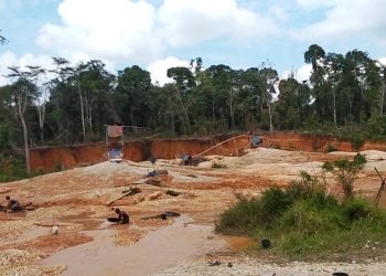 Diduga Kuat Ada Pihak yang Membekingi PETI Milik Mus di Desa Tambang Baru