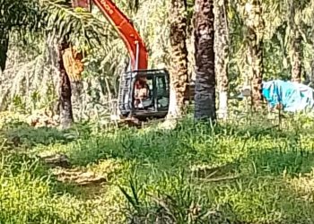 Aktivitas PETI Milik Suwono di Desa Rasau Gunakan Ekskavator, Diduga Kebal Hukum