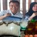 CV. Aswindra Tirta Maulana