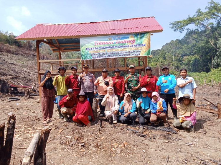 Loncing Penanaman Jagung di Desa Rantau Bidaro,Dorong Ketahanan Pangan Masyarakat