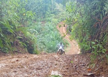 Proyek Jalan Muara Siau Gagal, Desakan Blacklist Kontraktor dan Isu Pengaturan Tender Mengemuka