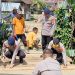 Peduli Masyarakat, Polres Merangin Bersama Batalyon B Pelopor Sat Brimobda Jambi dan Polsek Pamenang Bersama Pemerintah Desa Karang Berahi Perbaiki Jembatan Gantung