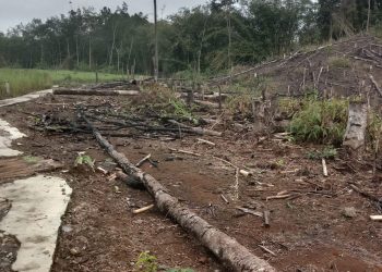 Warga Lubuk Birah Desak Kejari Merangin Audit Dana Desa, Soroti JUT yang Tak Bisa Dimanfaatkan