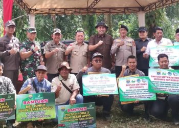 Luas Tanam Sawah di Merangin Naik 11 Persen, Bupati M. Syukur Pacu Bantuan Alsintan dan Infrastruktur