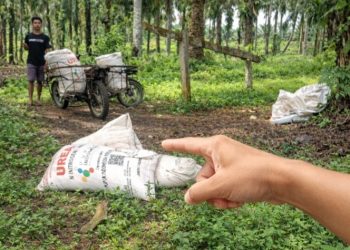 Diduga Langgar Aturan, Yanto Salurkan Urea Bersubsidi dari Bangko ke Desa Pulau Tujuh