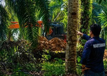 PETI Diduga Milik Sigit Menggila di Tanjung Benuang, Excavator Bebas Menggali Tanpa Tersentuh Hukum