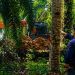 PETI Diduga Milik Sigit Menggila di Tanjung Benuang, Excavator Bebas Menggali Tanpa Tersentuh Hukum