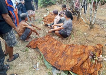 Kecelakaan Maut di Desa Bedeng Rejo, Pasutri Dilaporkan Meninggal di Tempat