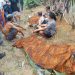 Kecelakaan Maut di Desa Bedeng Rejo, Pasutri Dilaporkan Meninggal di Tempat